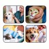1ml Syringe Plastic Small Syringe 30 Pack with Cap Lab and Pet Use-4