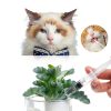 BSTEAN 5ml Syringe without Needle, Individually Wrapped for Industrial, Scientific, Measuring, Watering, Pet Feeding, Liquid Refilling and Dispensing (Pack of 25)-4
